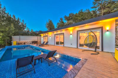 Villa Fly