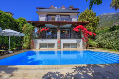 Villa Castor