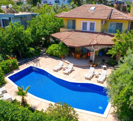 villa-albora-7_651.jpeg