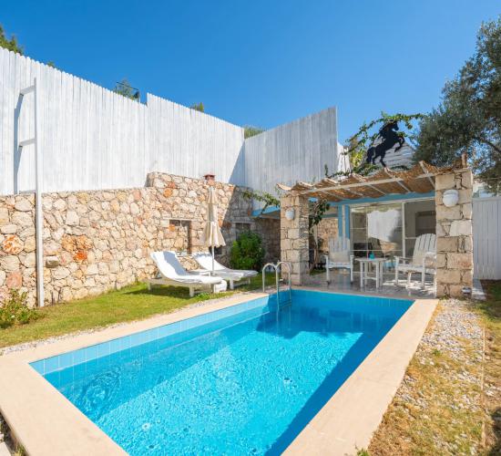 villa-pony-birebirvilla-7_686.jpg