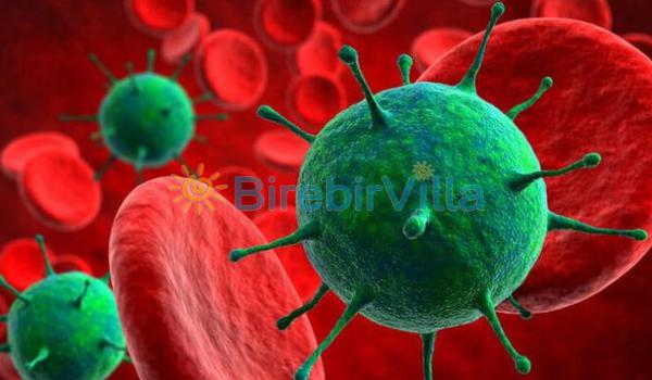Coronavirüs Bittikten Sonra Gidilmesi Gereken 7 Harika Yer